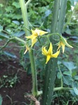 IMG_2476.JPG